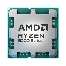 AMD Ryzen 5 9600X processor