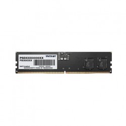 Patriot Memory Signature Line PSD58G480041 memory module