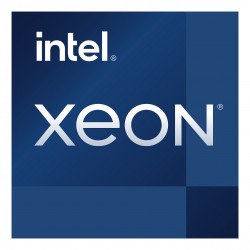 Intel Xeon E-2374G processor