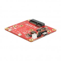 DELOCK Konverter Raspberry Pi USB 2.0 > mSATA DELOCK Konverter Raspberry Pi USB 2.0 > mSATA