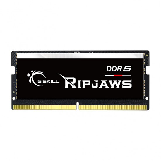 G.Skill Ripjaws F5-4800S4039A32GX1-RS memory module