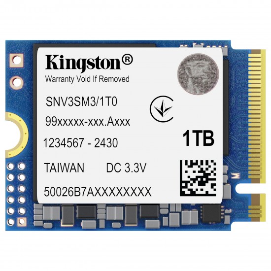 Kingston Technology NV3