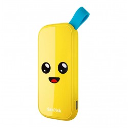 1TB SanDisk USB 3.2 Read speed 800 MBytes/sec SDSSDE30-1T00-G25F