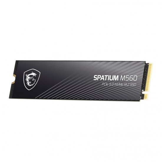MSI Spatium M560 PCIE 5.0 NVME M.2