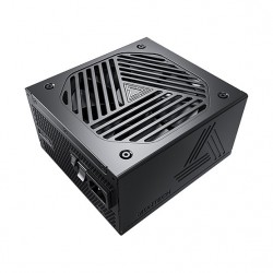 Titan Gold 1000W - 80 PLUS Cybenetics Gold, modular, PCIe 5.0 - 1000 Watt