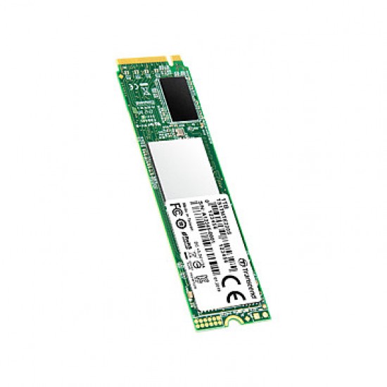 Transcend 220S