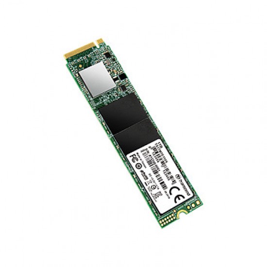 Transcend 110S Transcend 110S