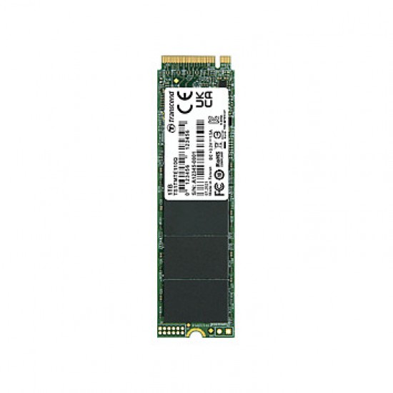 Transcend 110Q