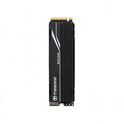 Transcend MTE250H