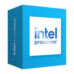 Intel 300 processor